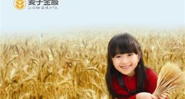 麦子金服高管CEO、COO于近期离职