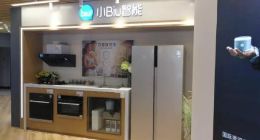 “高配平价”首战双十一，苏宁小Biu重塑行业“坐标价”