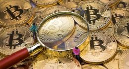 疑似坐庄却宣称被割8亿，昔日股神杨永兴的币圈“罗生门”