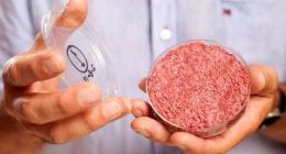 在太空3D打印的人造肉 未来或将摆上超市货架