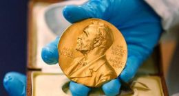 双11的前奏，电商正在用诺贝尔经济学奖的理论等你下锅