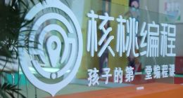 关于核桃编程狂奔背后的一点冷思考