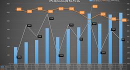 解读阿里Q2财报：“一赚三亏”中迎战双11