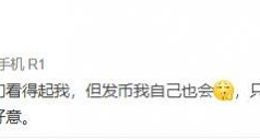 罗永浩婉拒币圈邀请：感谢好意 但发币我自己也会