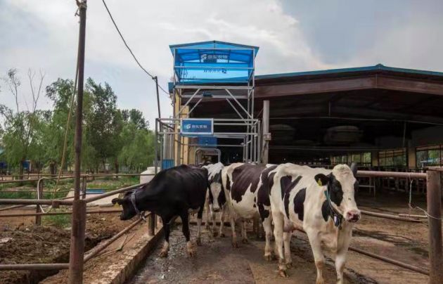 QQ图片20191108184043