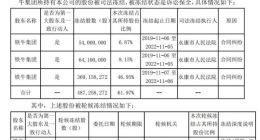 众泰汽车：控股股东铁牛集团超7.86亿股被司法冻结
