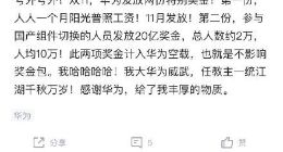 华为发放奋斗特别奖：20亿