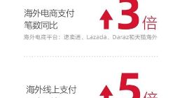 支付宝：6个本地钱包抗住了双11技术大考 流量超平日26倍