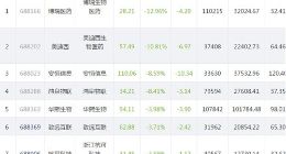 科创板今日27只个股下跌 博瑞医药美迪西跌幅超过10%