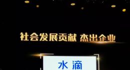 水滴公司获评2019“中国益公司”社会发展贡献杰出企业
