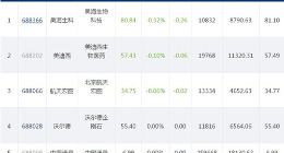 科创板今日46只个股上涨 仅昊海生科美迪西航天宏图有下跌