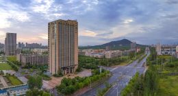 6大品类6组冠军：捷报频传的科大讯飞做对了什么？