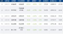 科创板今日下跌个股增至14只 安恒信息跌幅居首