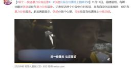 双十一快递被暴力分拣 快递员踩包裹堆上随意扔