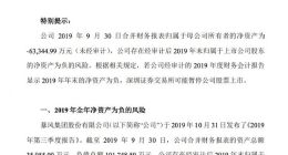 暴风集团：公司存在无法在法定期限内披露2019年年度报告的风险