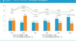 新能源汽车：与理想背道而驰？