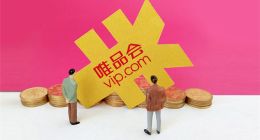 唯品会拯救市值：左手下沉，右手高端