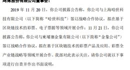鸿博股份收到深交所关注函 要求具体说明区块链的应用场景及可行性