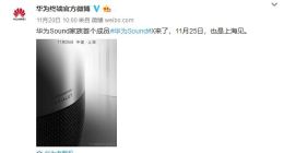 携手帝瓦雷：华为SoundX 万元上市价惊雷