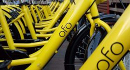 退押金无望的ofo，注定小众的共享单车