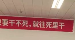 每日优鲜员工感慨：“只要干不死，就往死里干”，这风格很贴切！