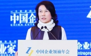 董明珠：我不是要把奥克斯整死，当时约好一起举报的企业全跑了