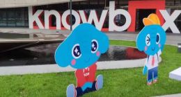 没有“作业”的小盒科技，正从春天走向冬天？