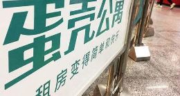 蛋壳公寓涉嫌“发国难财”：或成下一个“红十字会”？