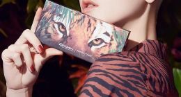 请回答2020，国货彩妆的四点猜想