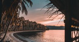 五环内外，居家和鸣