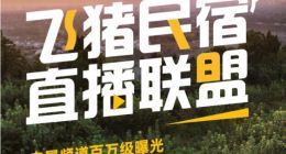 飞猪推出民宿直播联盟 百家民宿开直播练内功