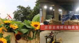 春雷计划被点燃，京喜依托“新基建”助力产业带复产复工