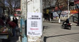 疫情以来 164万人通过支付宝灵活就业