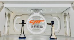 猎豹移动2019年AI等收入增72% 机器人战略迎实质性进展