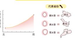 更美APP面孔起源上线一周，更美颜究所推十大网红省市男女面孔