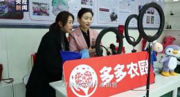 疫后百业待兴，拼多多如何助力农业恢复元气？
