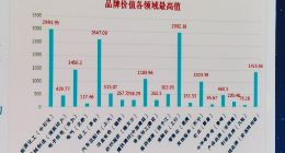 品牌价值超千亿，苏宁位列2020中国品牌价值评价服务业榜首