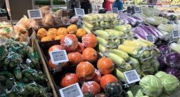 苏宁的零售棋盘：虽稳却有点慢