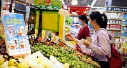 支付宝胡晓明呼吁：消费券应从短期手段转为长期政策杠杆