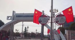 一朵奇葩出墙来——“银鸽”何以变“病鸽”？