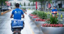 尚未盈利就急于上市割韭菜，达达依然负“重”前行