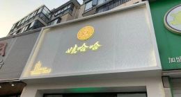 娃哈哈做电商平台，能卖其他品牌的饮料吗？