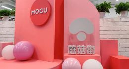 亏损4个亿，蘑菇街的这份“答卷”资本市场满意吗？