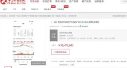 无人出价！贾跃亭所持2210万股乐视网股票首次拍卖流拍