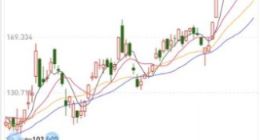 Zoom Video收盘创下新纪录 涨幅8.88%