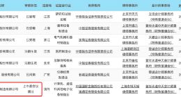 中芯国际通过科创板注册制审核