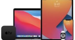 苹果邀请邮件搞乌龙：macOS Big Sur 变 Bug Sur