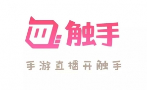 长达两年半没融资，与虎牙斗鱼厮杀的触手快撑不下去了