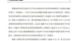 暴风集团：今起停牌 15个交易日内深交所将做出是否暂停上市决定
