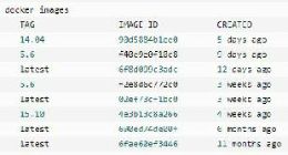 云计算核心技术Docker教程： Docker镜像使用
